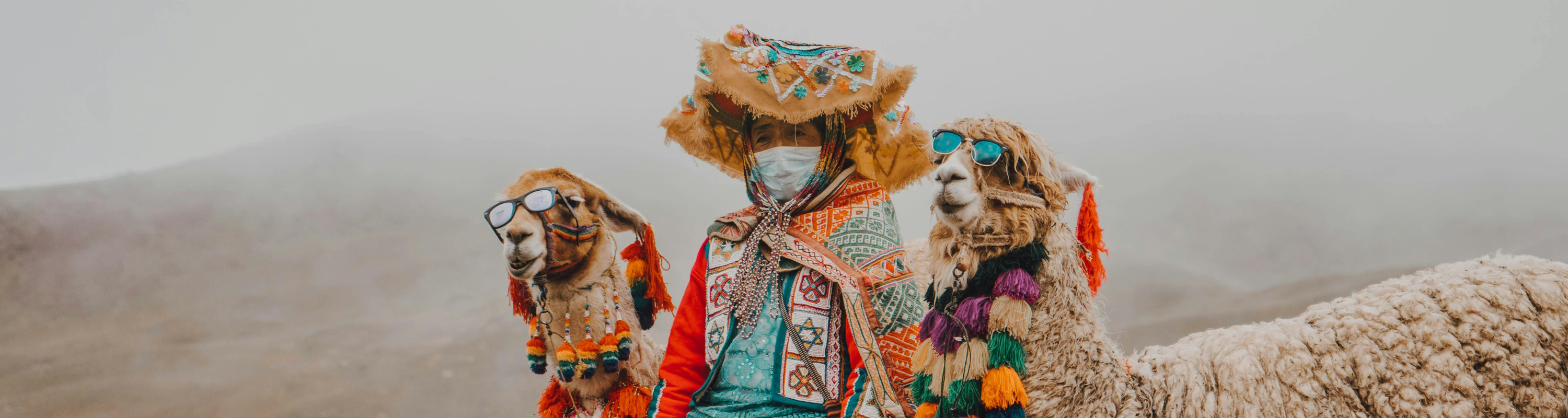 Kleidung aus Alpakawolle ist einzigartig Banner