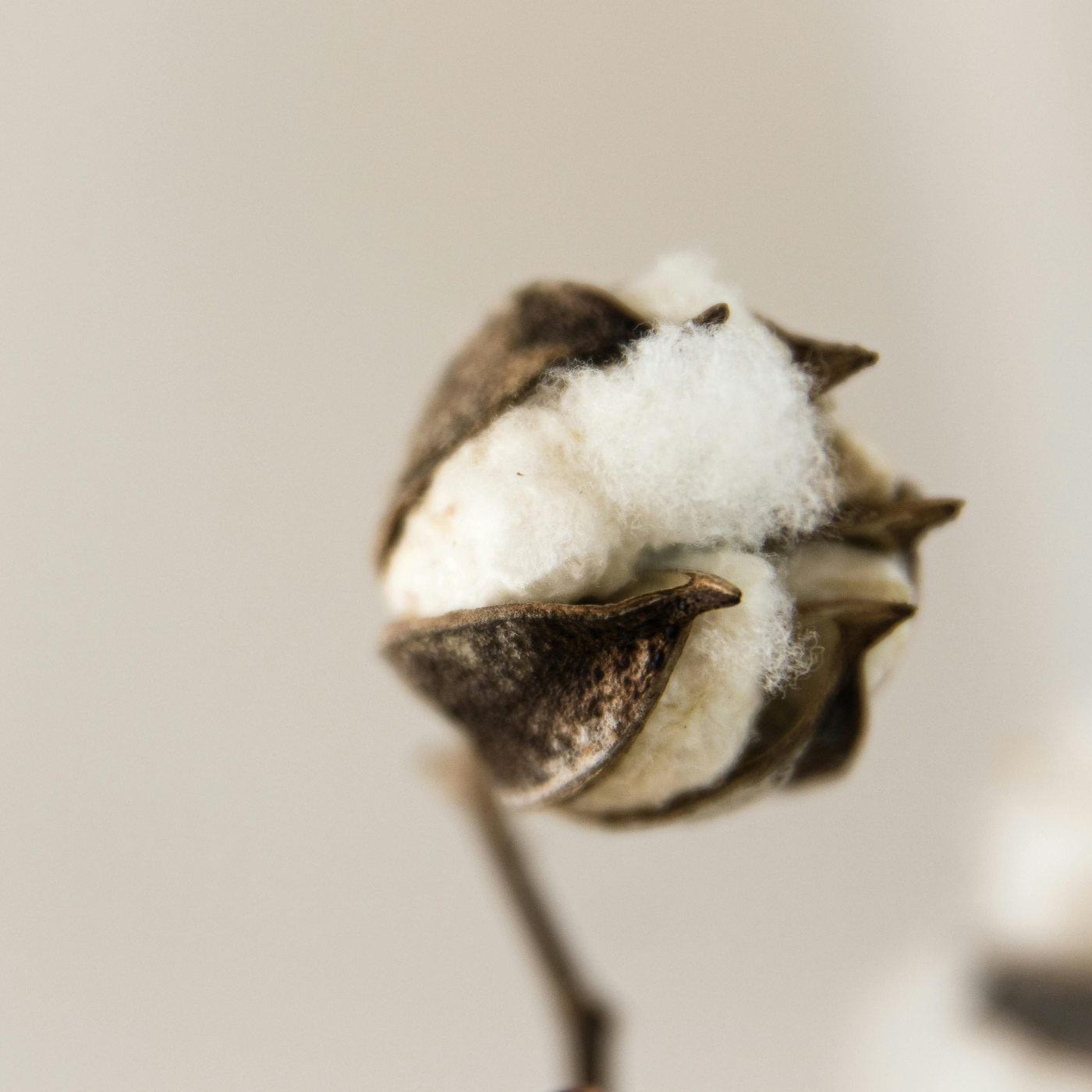 100% natürliche Stoffe Banner