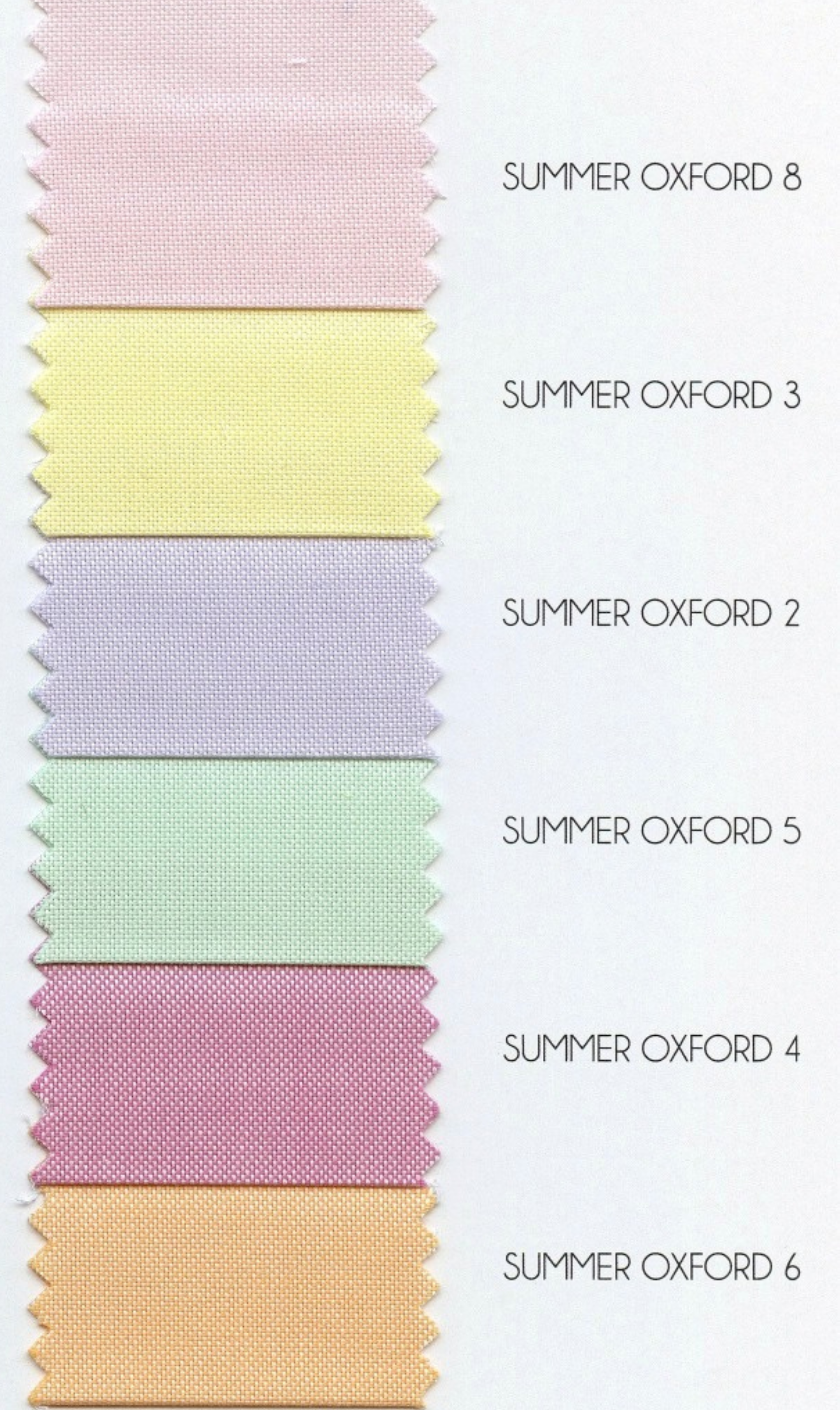 Mileta Summer Oxford 70/1 - Bunt